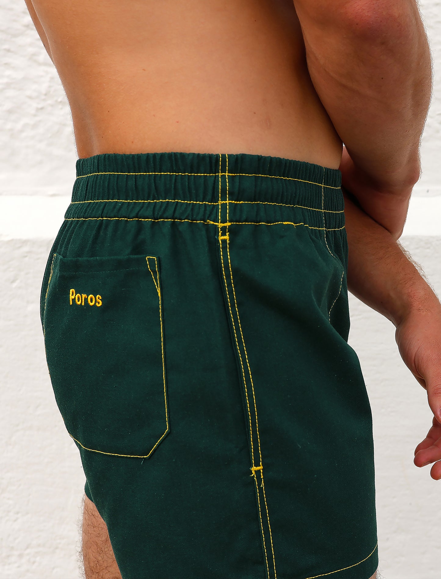 Taverna Trunk in Green